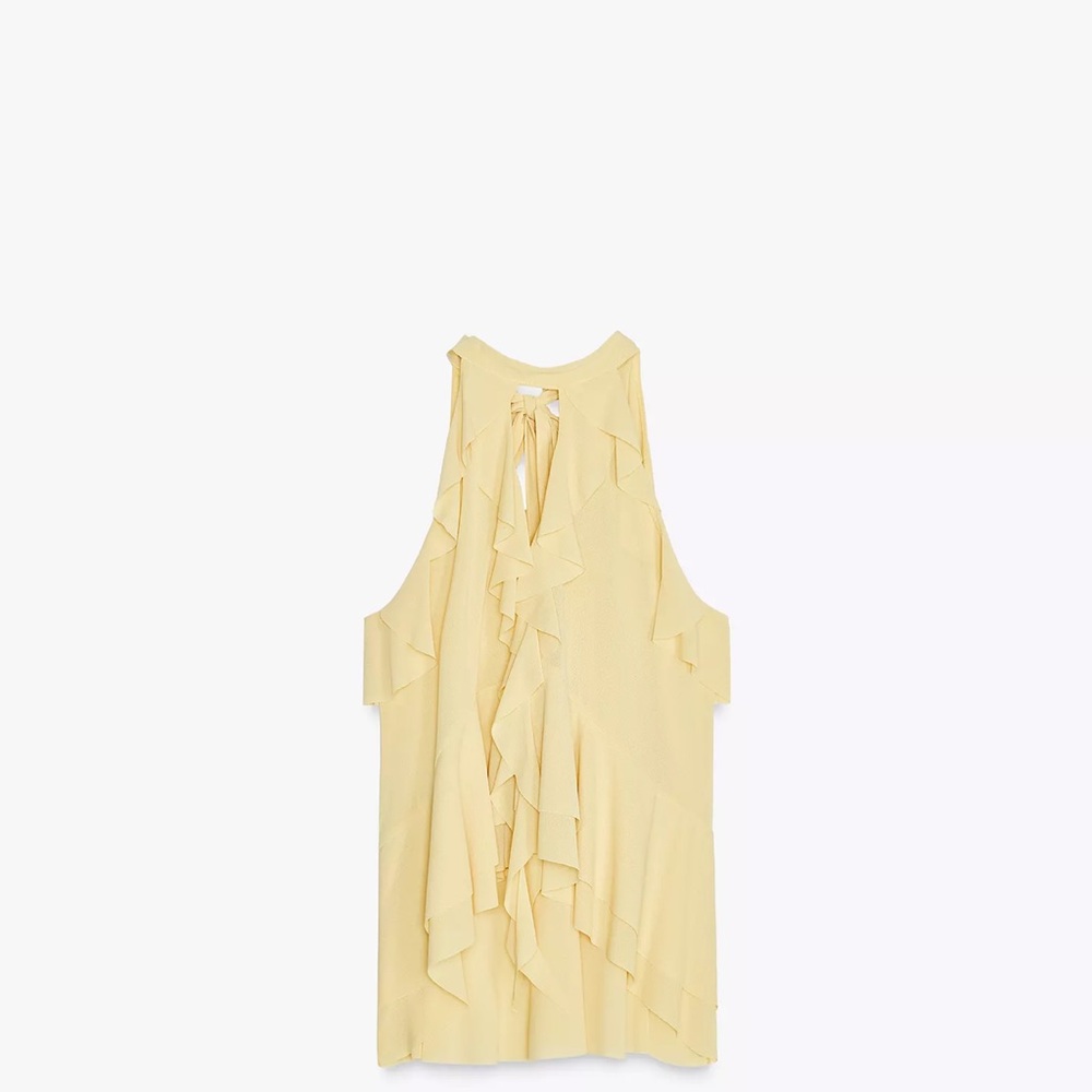 NWT Zara